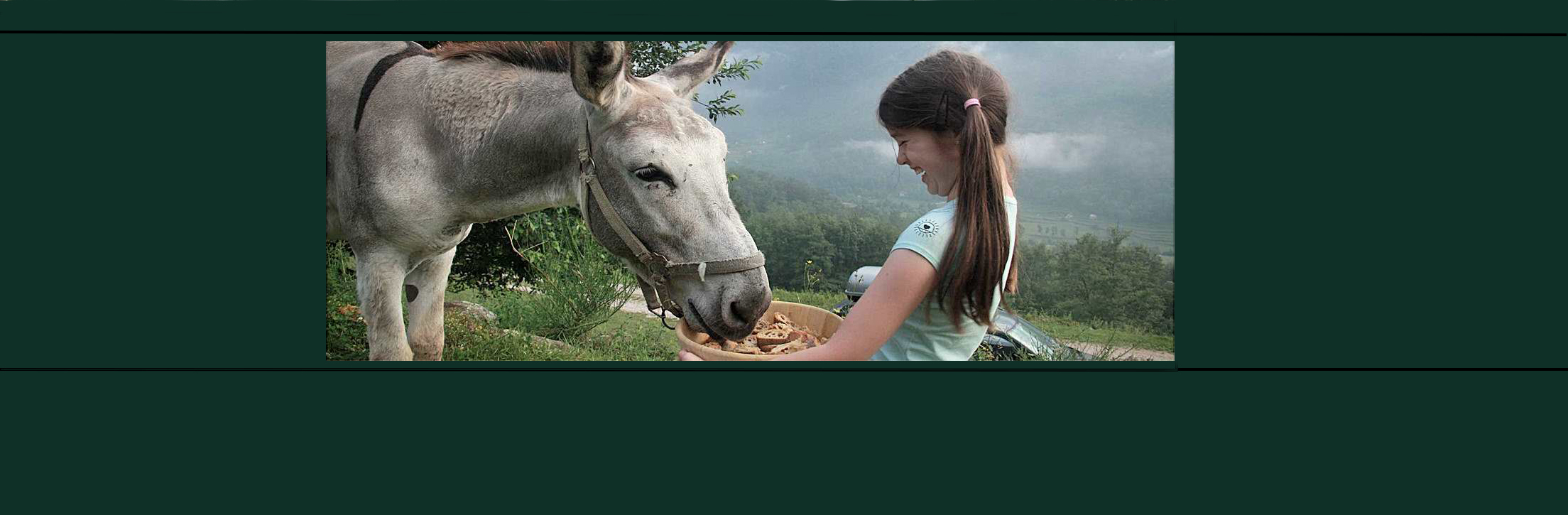 Paseos con burros