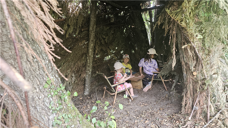 La petite cabane dans la forêt 