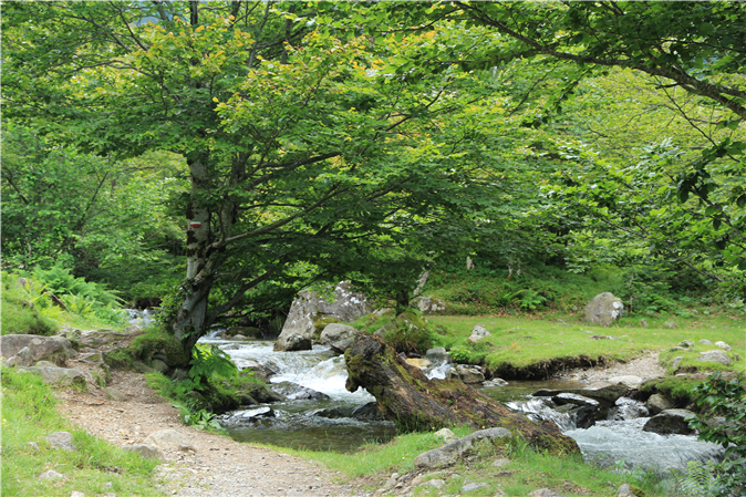 Fotos de los alrededores