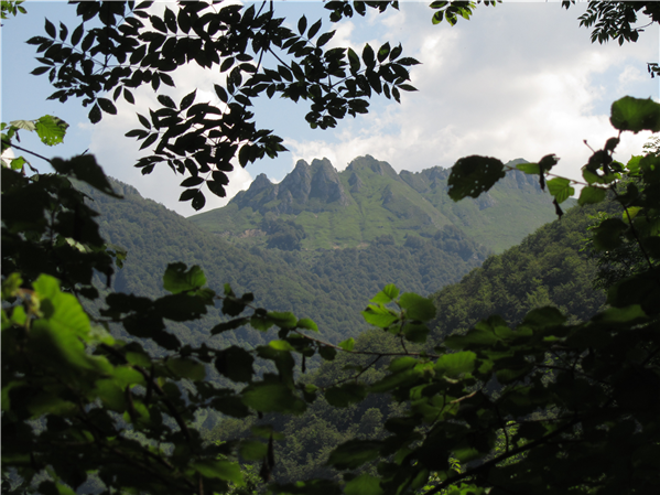 Fotos de los alrededores