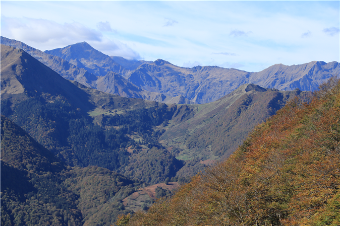 Fotos de los alrededores