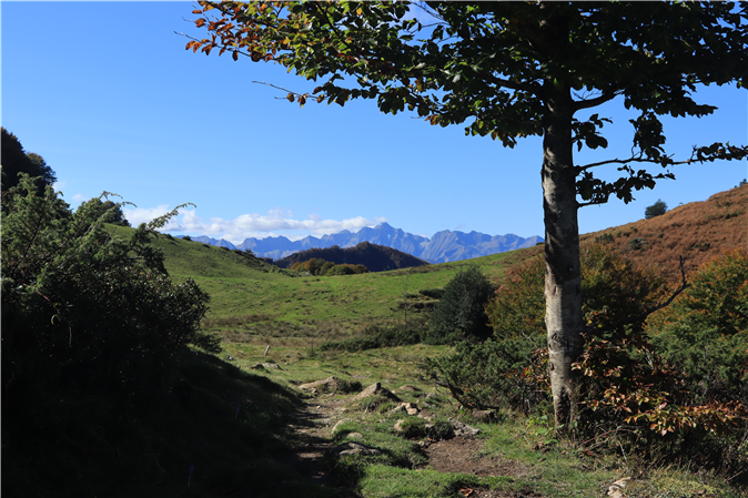 Fotos de los alrededores