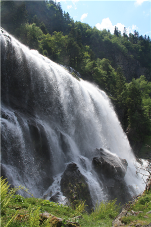 Fotos de los alrededores