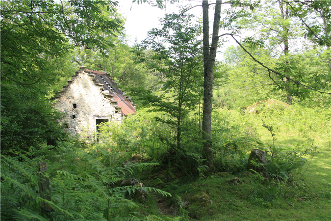 Fotos de los alrededores